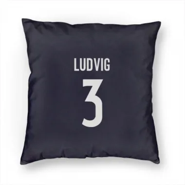 Navy Colorado Avalanche John Ludvig   Pillow Cover (18 X 18)